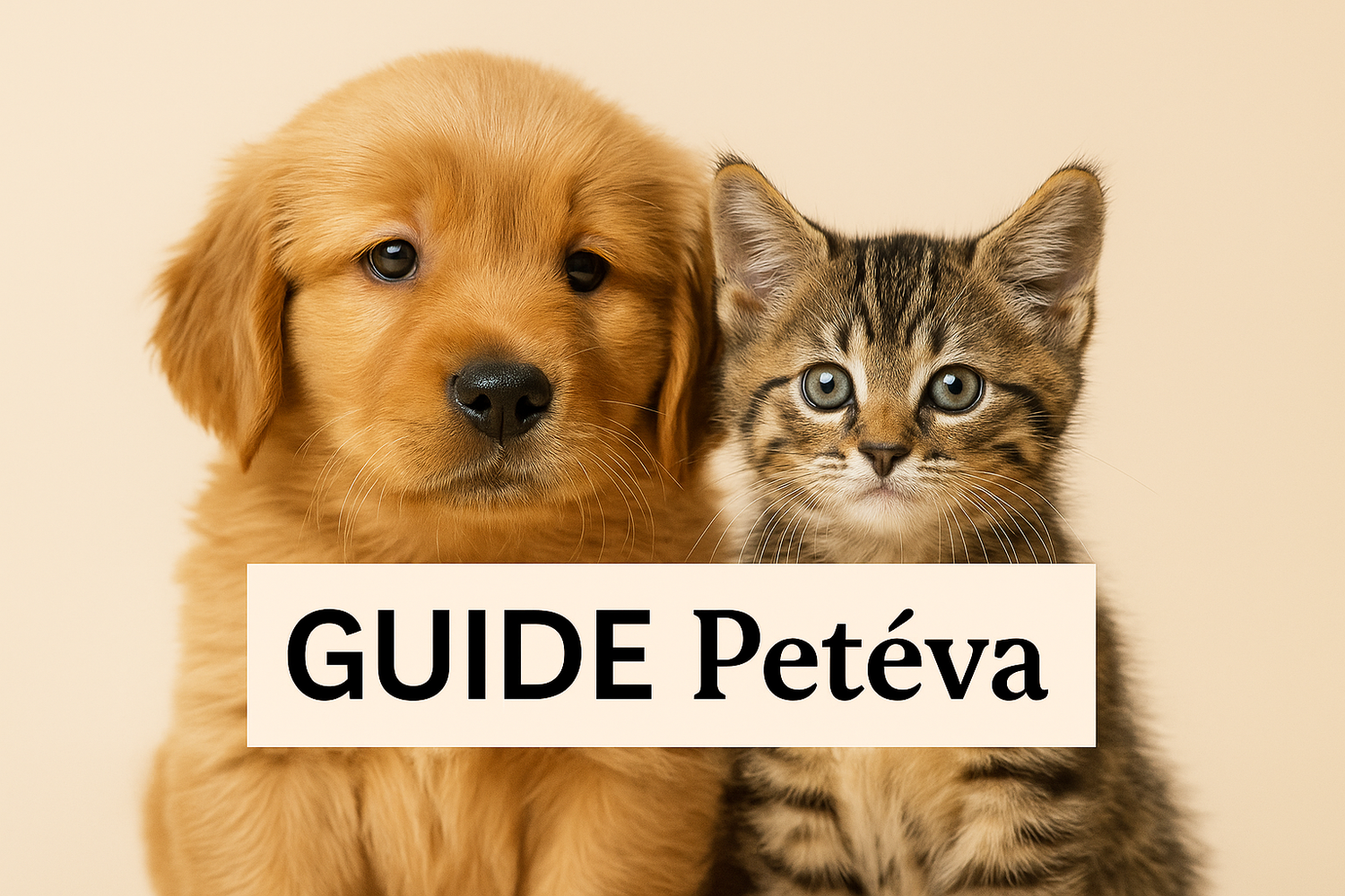 Guide digitali Petéva